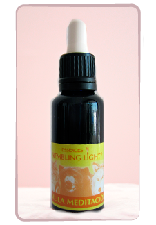 Fórmula Percepción