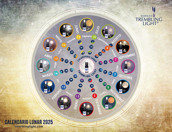 Calendario Lunar 2024