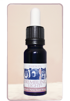 Elixir Neo Ison Wise