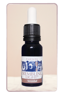 Dama del Cantábrico